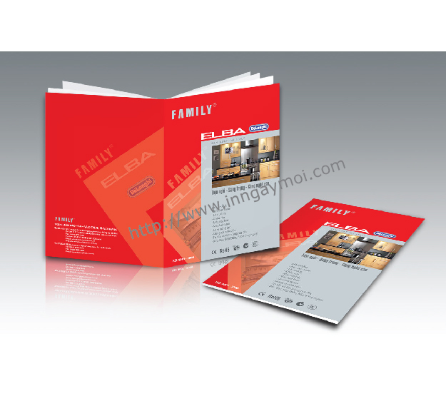 in catalogue lấy liền